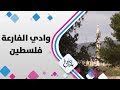 وادي الفارعة فلسطين حلوة يا دنيا