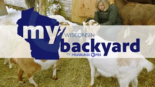 My Wisconsin Backyard | Web Series | Animal Sanctuary