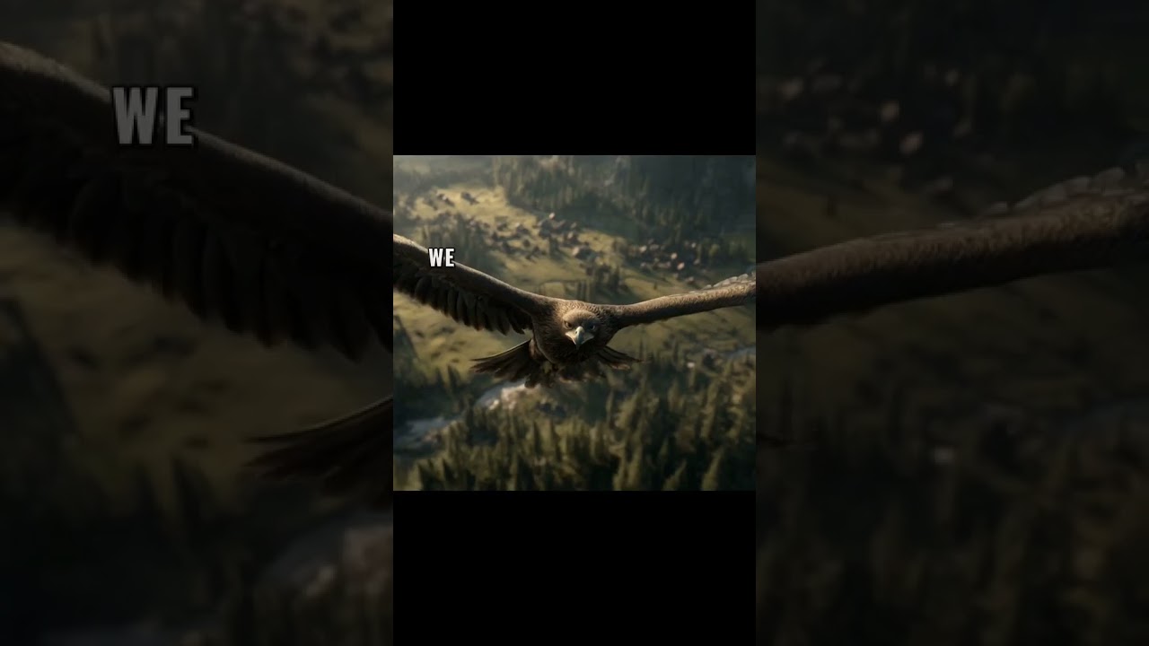 Are Humans the Supreme Species? Exploring the Indomitable Human Spirit 