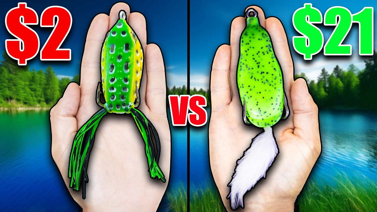 $2 vs $21 Frog Fishing Challenge