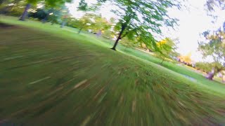 FPV Tree Dancing - Wynnstyle