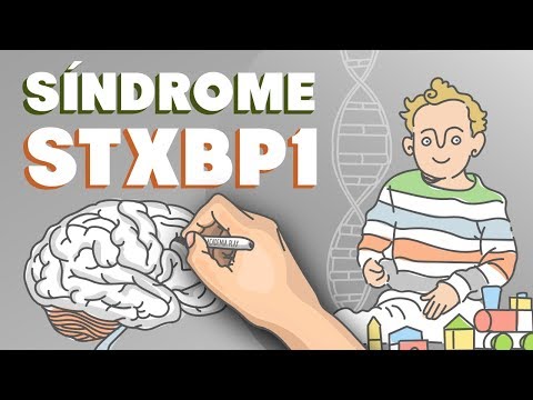 Síndrome STXBP1 - Síndrome STXBP1