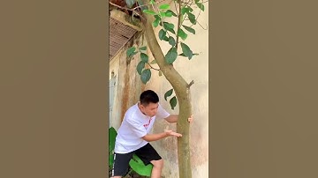 Rìu đa năng 6 trong một có xịn? - | Đàm Đức Review #shorts