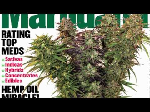 HIGH TIMES Medical Marijuana - Winter 2011 - 2012