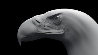 Eagle Sculpting TimeLapse Zbrush / Скульптинг орла в Zbrush by Dmytro Teslenko CG 47,659 views 7 years ago 25 minutes