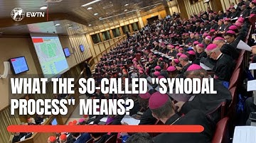 Synod on Synodality | What the "Synodal Process" Means