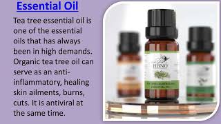 Five Best Essential Oils and Their Benefits