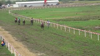 Cazin -Trka Vlada Usk - 2000M 4G I St - 27.9.2025 - Mercurio