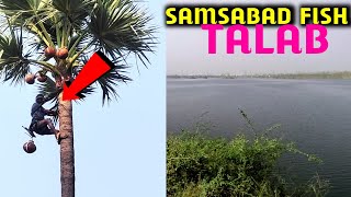 Samsabad Talab Vlogs Air Port Road Local 92 Vlog