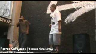 Perros Callejeros | Show (2)