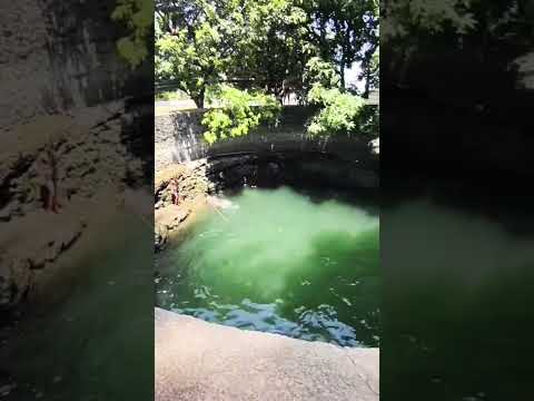 Village swimming vlog🏊 #shorts#youtubeshorts#viral#trending #subscribe#discover#viralvideo#youtube
