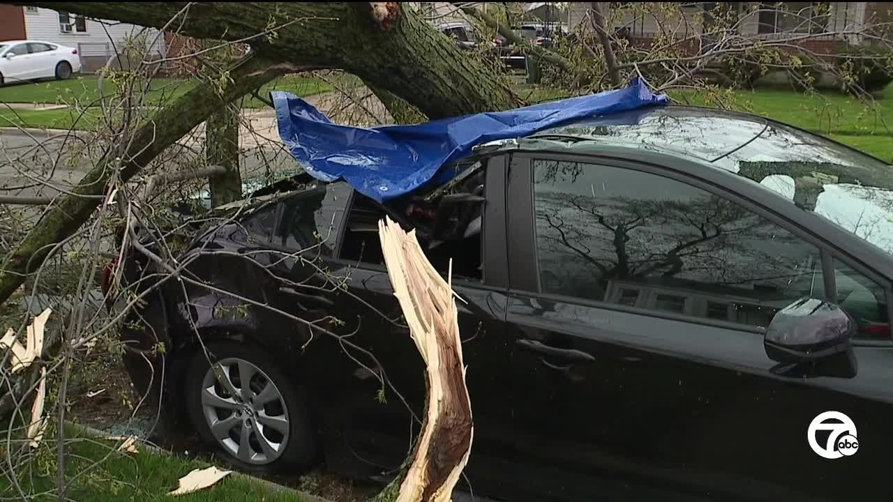 Damage, downed trees and power lines left behind in Ferndale after ...