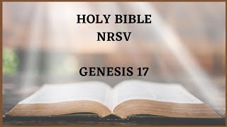 Genesis 17| New Revised Standard Version| Old Testament| Holy Bible| English