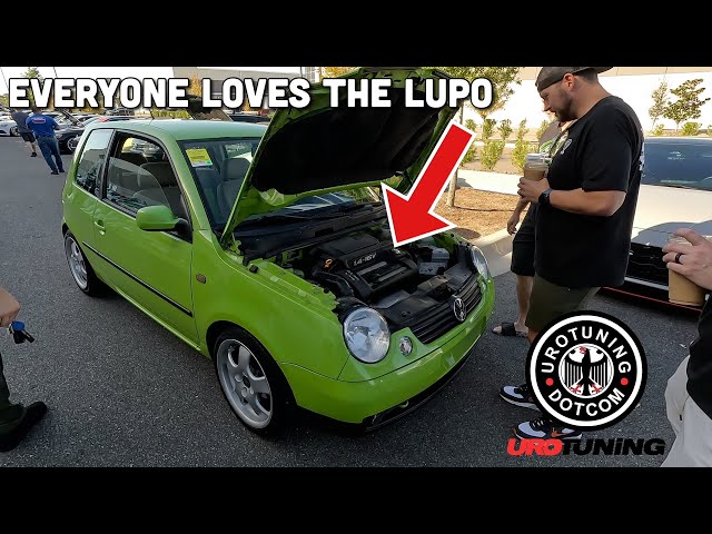 Taking The VW Lupo To Cars & Coffee! ( + VR6 Ecu Tune! ) 