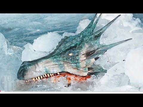 Ramsa Mang Tawh Te Scientist Ten Kaihthawh Leh An Tum