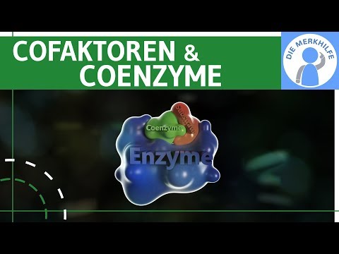 Video: Ist Coenzym ein Cofaktor?