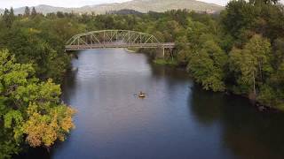 Chinook Salmon preparing to spawn || DRONE VIEW