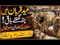 Bakra Eid Final Preparations | Huge Rush in Animal Markets | Breaking NEws