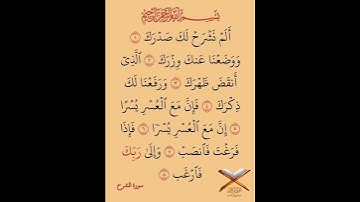 سورة الانشراح تلاوت قران كريم سعد أيوب #تلاوات #قرآن #سعد