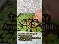 Tanaman Air Amazon Frogbit #fyp #Shorts #VideoShorts #Viral #VideoViral #AmazonFrogbit #TanamanApung