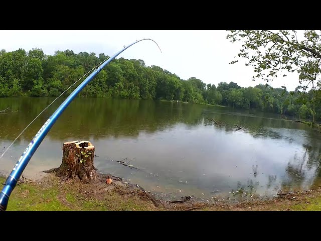 Bass Fishing With Strike King and YUM Lures (Texas Rig u0026 Wacky) class=