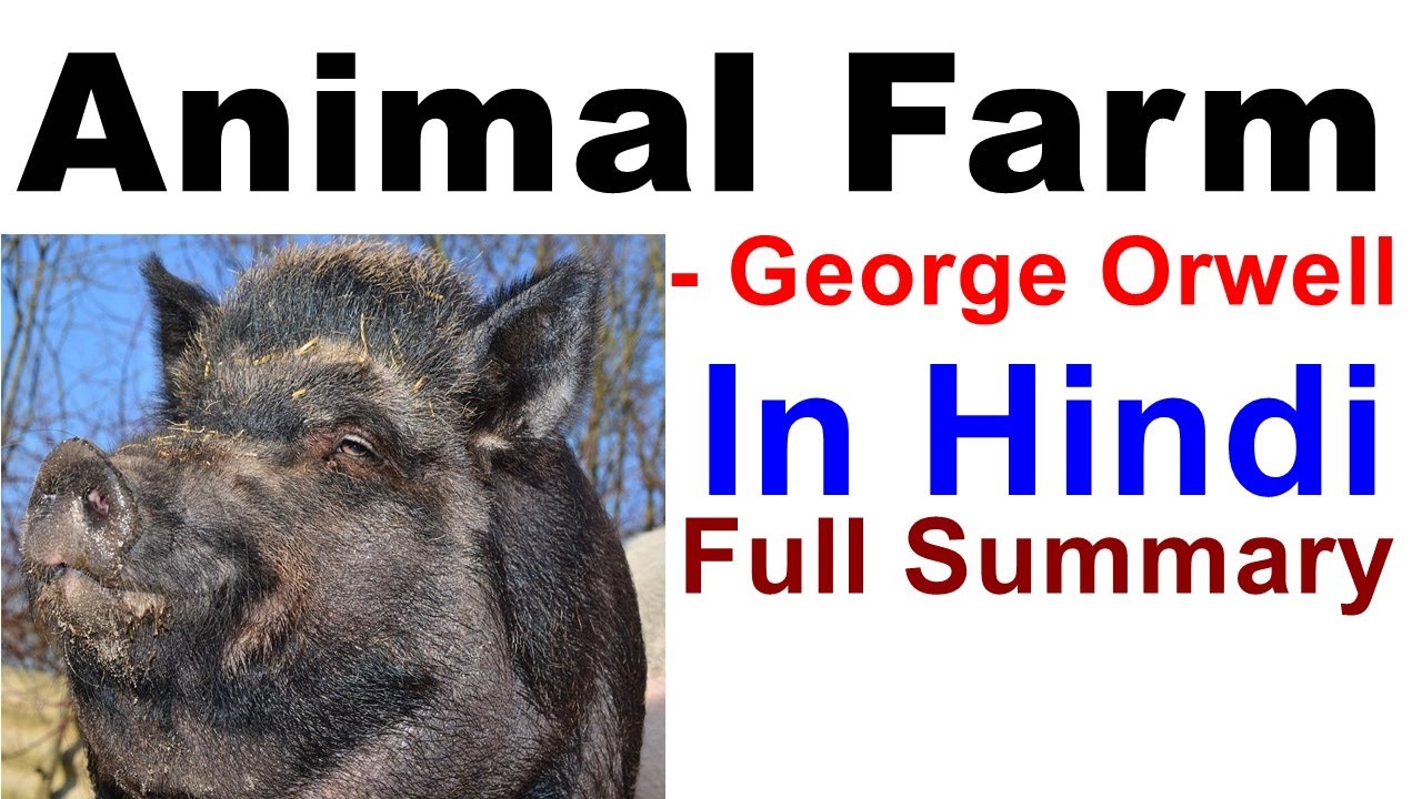 Animal Farm in Hindi Full Summary George Orwell - YouTube