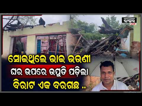 ଘରେ ଶୋଇଥିଲେ ଭାଇ ଭଉଣୀ, ହଠାତ ଘର ଉପରକୁ ଉପୁଡି ପଡିଲା ବିରାଟକାୟ ବରଗଛ...ଘଟଣା ସ୍ଥଳରେ...