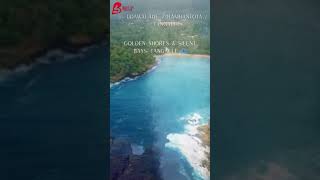 The Wild South: Sri Lanka’s Hidden Treasures 🐘🇱🇰 #Shorts