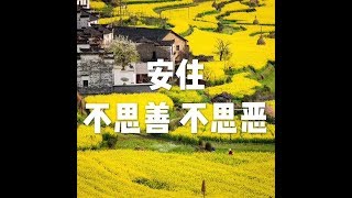 201511 安住　不思善　不思恶21218