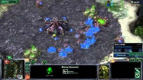 zerg rush 6 pool