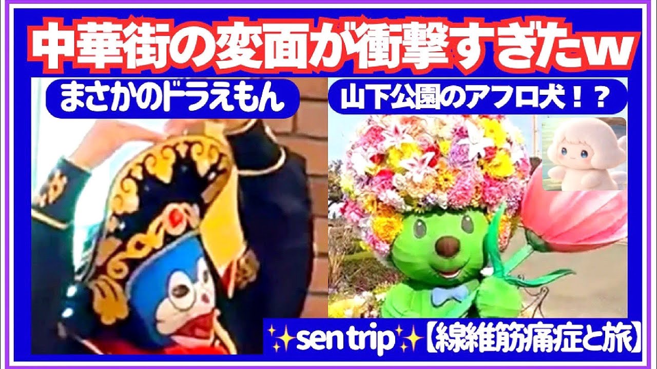  【横浜Vlog】中華街の変面が衝撃すぎた…！山下公園まで半日満喫コース　#横浜中華街   #山下公園  #変面ショー