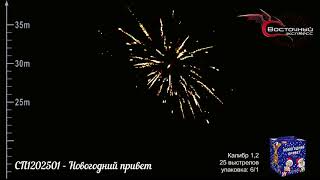 СП1202501   Новогодний привет