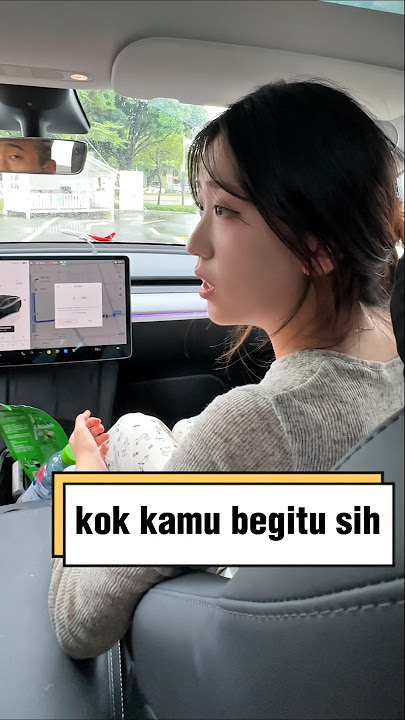 A Seat Belt Turns Into a Big Drama 🤣