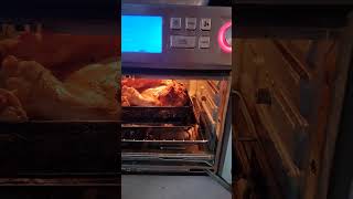 Emeryl Air Fryer Baking Turkey