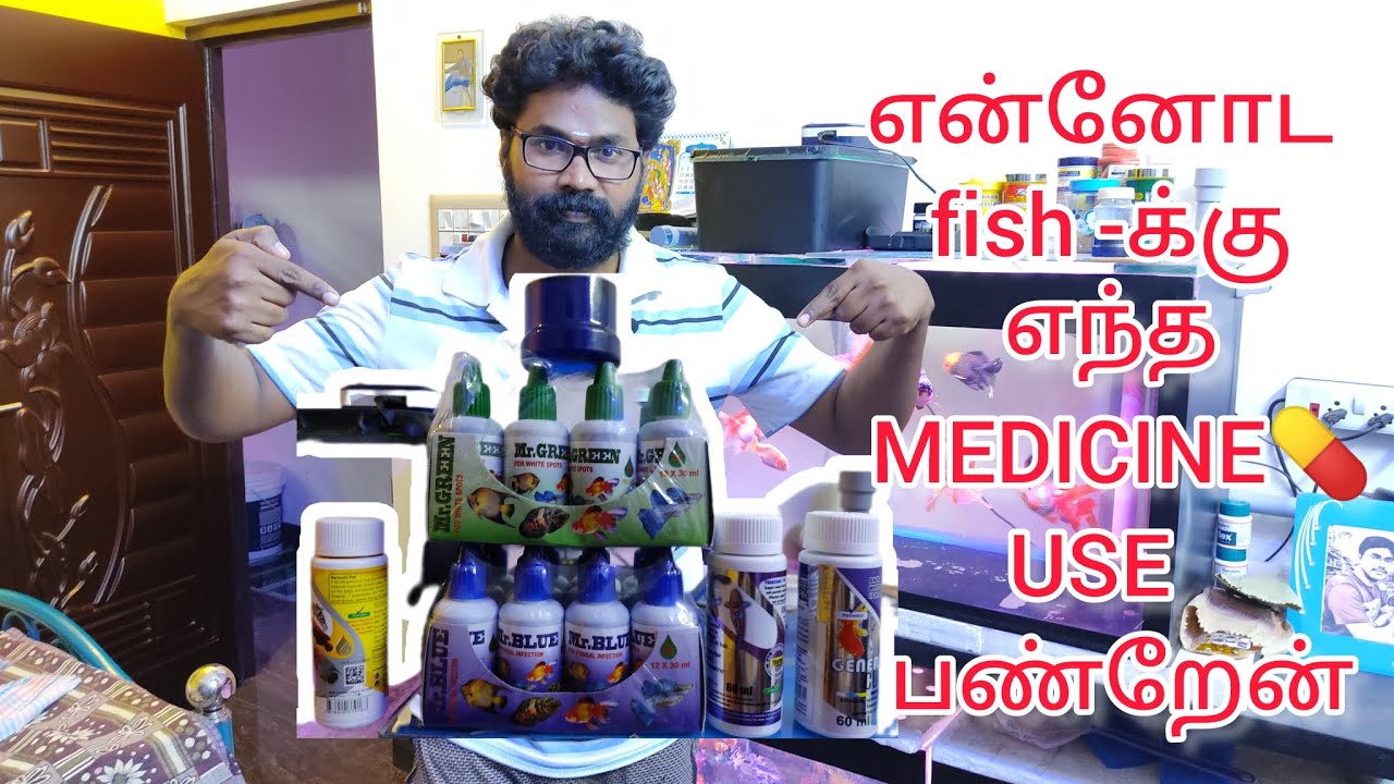 How to choose fish medicine💊 | உங்க மீனுக்கு எந்த medicine பண்றீங்க| 