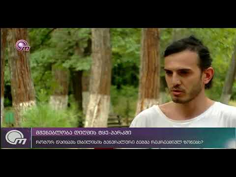 მშენებლობა დიღმის ტყე-პარკში