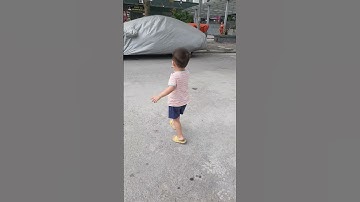 Nghé phát hiện ra cá mập 2021