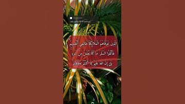 سورة النحل الاية 27-29