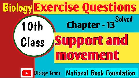 Chapter 13 Support and Movement Exercise Questions | Class 10th Biology National BooK Foundation