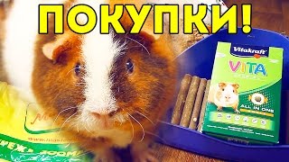 ПОКУПКИ из зоомагазина для морских свинок / SvinkiShow ПОКУПКИ из зоомагазина для морских свинок / SvinkiShow