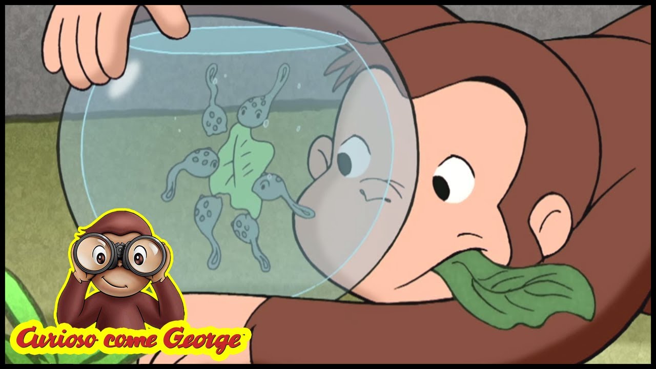 Curioso come George 🐵Scoprire i girini - Episodio completo🐵Cartoni per Bambini 🐵George la Scimmia