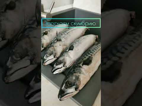 Запеченая скумбрия
