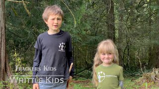 How to Whittle for Kids and Beginners - Woodland Trust