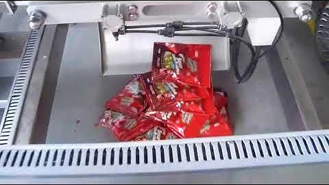 Doy bag with zipper made by VFFS packaging machine model 820