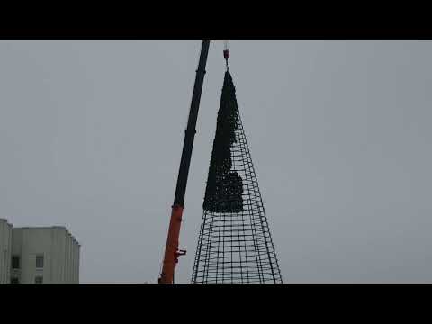 Главную ель города готовят к новому году. Главную ель города готовят к новому году.