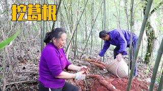 大山里藏着很多美食，幺妈和幺叔挖葛根，拿回家做葛根炖大骨汤【幺妈和幺叔】