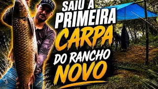 Saiu a primeira carpa da temporada e no rancho novo