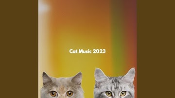 Smooth Ambiance for Office Moments