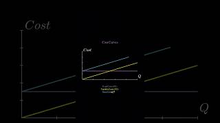 Cost Functions in Microeconomics