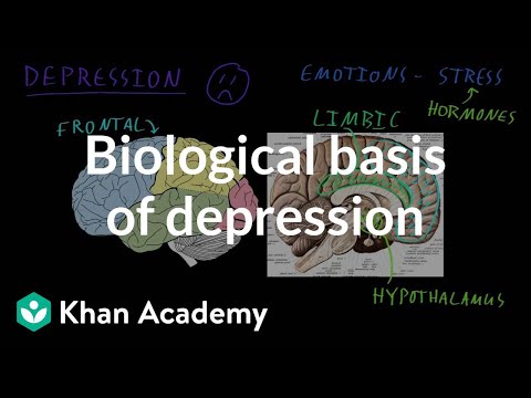 Biological basis of depression | Behavior | MCAT | Khan Academy